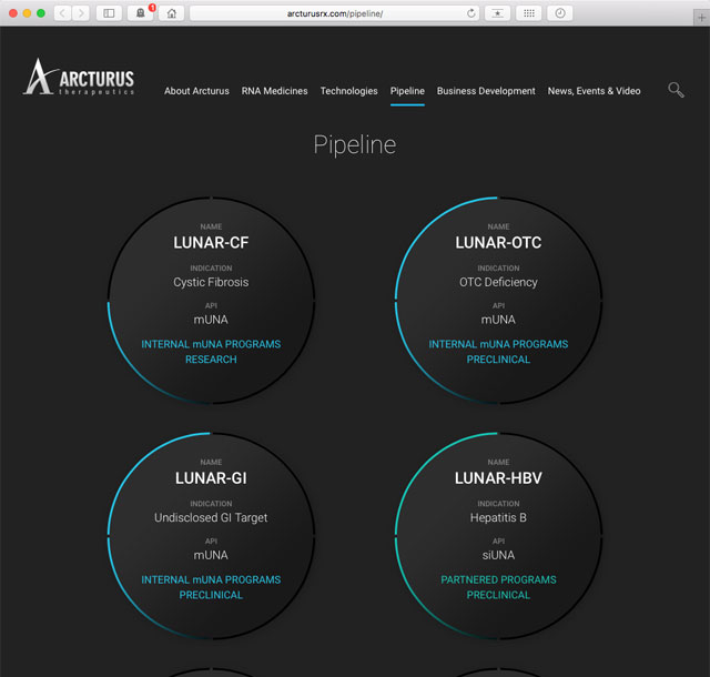 wordpress development